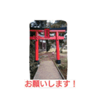 美ぃ3才前（個別スタンプ：5）