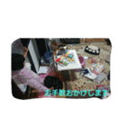 美ぃ3才前（個別スタンプ：13）