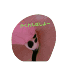 ぷー、みー、ごま（個別スタンプ：14）