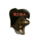 ぷー、みー、ごま（個別スタンプ：16）