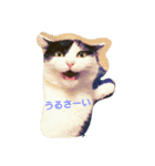 ぷー、みー、ごま（個別スタンプ：18）