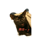 ぷー、みー、ごま（個別スタンプ：20）