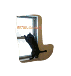 ぷー、みー、ごま（個別スタンプ：29）