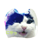 ぷー、みー、ごま（個別スタンプ：32）