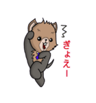 わんわんのスタンプ（個別スタンプ：28）
