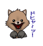 わんわんのスタンプ（個別スタンプ：37）