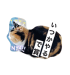 ミケ猫の1日（個別スタンプ：4）