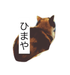 ミケ猫の1日（個別スタンプ：6）