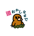 モグラのじゅんぺー（個別スタンプ：39）