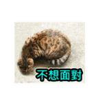 Street Cat emoticons_3（個別スタンプ：15）