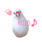 ぶんちゃんの1日    no,2（個別スタンプ：1）