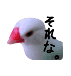 ぶんちゃんの1日    no,2（個別スタンプ：6）