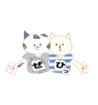 猫とTシャツ（個別スタンプ：1）