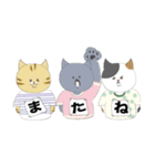 猫とTシャツ（個別スタンプ：2）