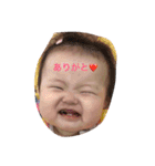 こはなの日常2（個別スタンプ：1）