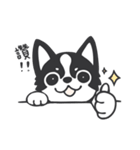 Chihuahua Dobee. by AllieSu（個別スタンプ：1）