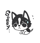 Chihuahua Dobee. by AllieSu（個別スタンプ：2）