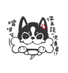 Chihuahua Dobee. by AllieSu（個別スタンプ：3）