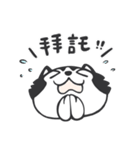 Chihuahua Dobee. by AllieSu（個別スタンプ：4）