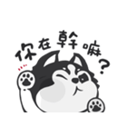 Chihuahua Dobee. by AllieSu（個別スタンプ：6）