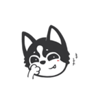 Chihuahua Dobee. by AllieSu（個別スタンプ：9）