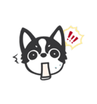 Chihuahua Dobee. by AllieSu（個別スタンプ：10）