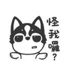Chihuahua Dobee. by AllieSu（個別スタンプ：14）