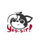 Chihuahua Dobee. by AllieSu（個別スタンプ：15）