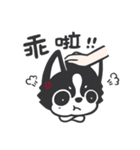 Chihuahua Dobee. by AllieSu（個別スタンプ：22）