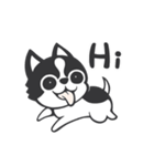 Chihuahua Dobee. by AllieSu（個別スタンプ：23）