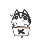 Chihuahua Dobee. by AllieSu（個別スタンプ：25）
