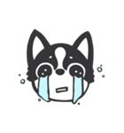 Chihuahua Dobee. by AllieSu（個別スタンプ：27）