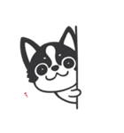 Chihuahua Dobee. by AllieSu（個別スタンプ：28）