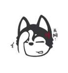 Chihuahua Dobee. by AllieSu（個別スタンプ：34）