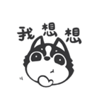 Chihuahua Dobee. by AllieSu（個別スタンプ：35）