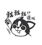 Chihuahua Dobee. by AllieSu（個別スタンプ：37）