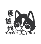 Chihuahua Dobee. by AllieSu（個別スタンプ：39）