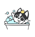 Chihuahua Dobee. by AllieSu（個別スタンプ：40）
