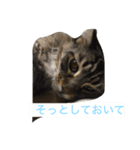 l am happy（個別スタンプ：1）