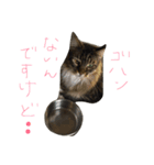 l am happy（個別スタンプ：2）
