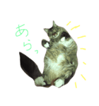 l am happy（個別スタンプ：3）