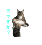 l am happy（個別スタンプ：4）