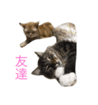 l am happy（個別スタンプ：5）