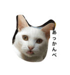 チェイとニゥン (ニゥン多め)2（個別スタンプ：4）