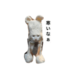 チェイとニゥン (ニゥン多め)2（個別スタンプ：6）