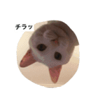 チェイとニゥン (ニゥン多め)2（個別スタンプ：8）