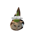 チェイとニゥン (ニゥン多め)2（個別スタンプ：12）