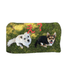 ミックス犬まめた＆福のまめふくスタンプ2（個別スタンプ：25）