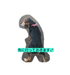 犬のハナは謙虚です。（個別スタンプ：8）