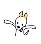 バセンジーミックス犬のボブ君（個別スタンプ：1）